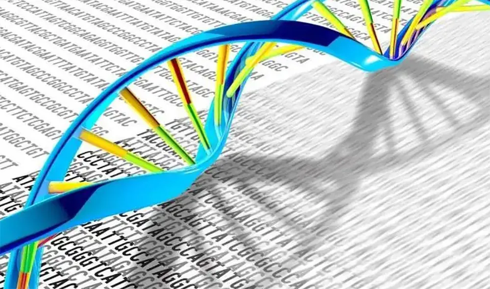 determination of dna nucleic acid concentration laboratory application scheme (micro volum ultraviolet spectrophotometry)